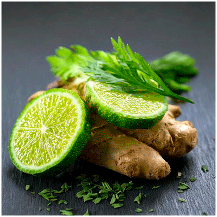 Lemongrass & Ginger Natural flavour Oilsoluble